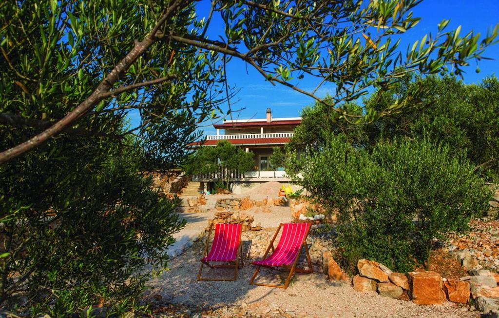 Luxury Villa Vela Rina Mali Drvenik Exteriér fotografie