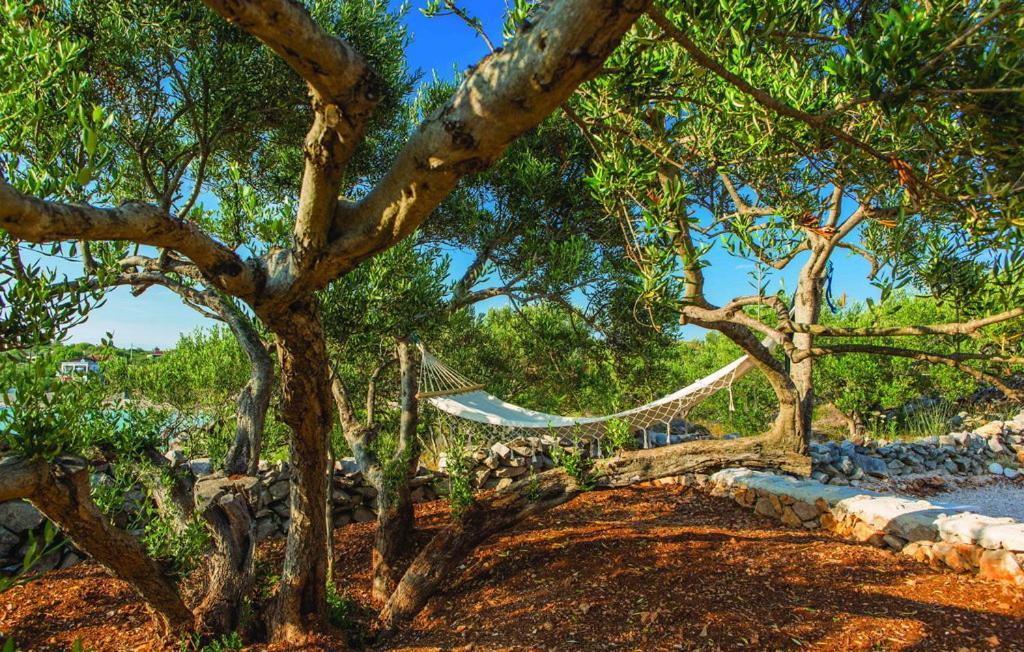 Luxury Villa Vela Rina Mali Drvenik Exteriér fotografie